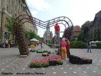 Imagine atasata: Timfloralis - 2015.05.20 - 06.jpg